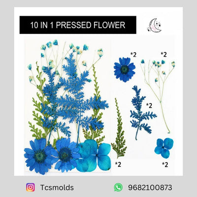10 in 1 Pressed Flowers Multi Blue - craft supply for resin art and craft projects
