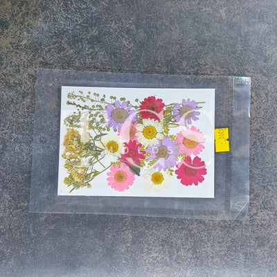 Pink Shade Real Dried Flower
