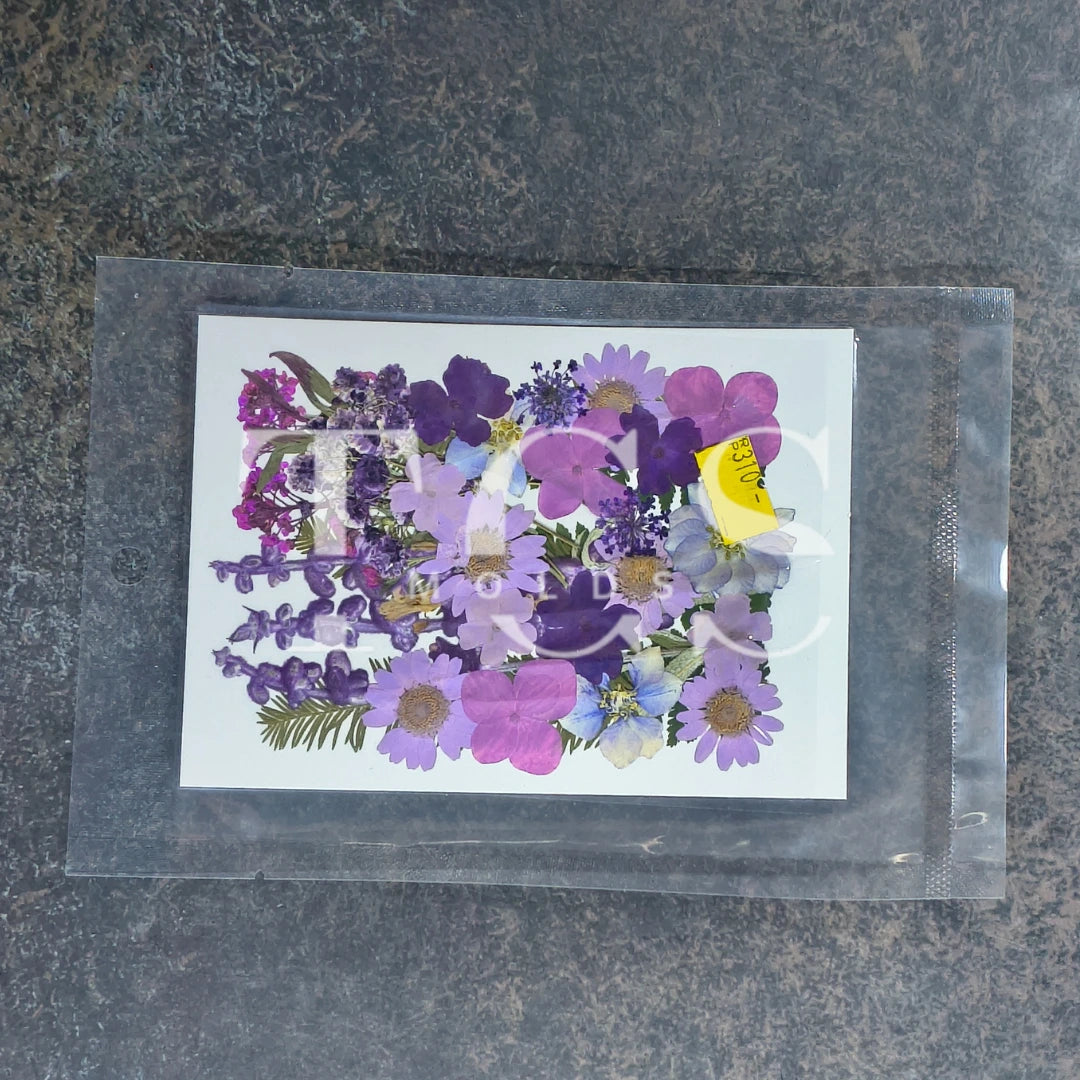 Purple real dried flower pack