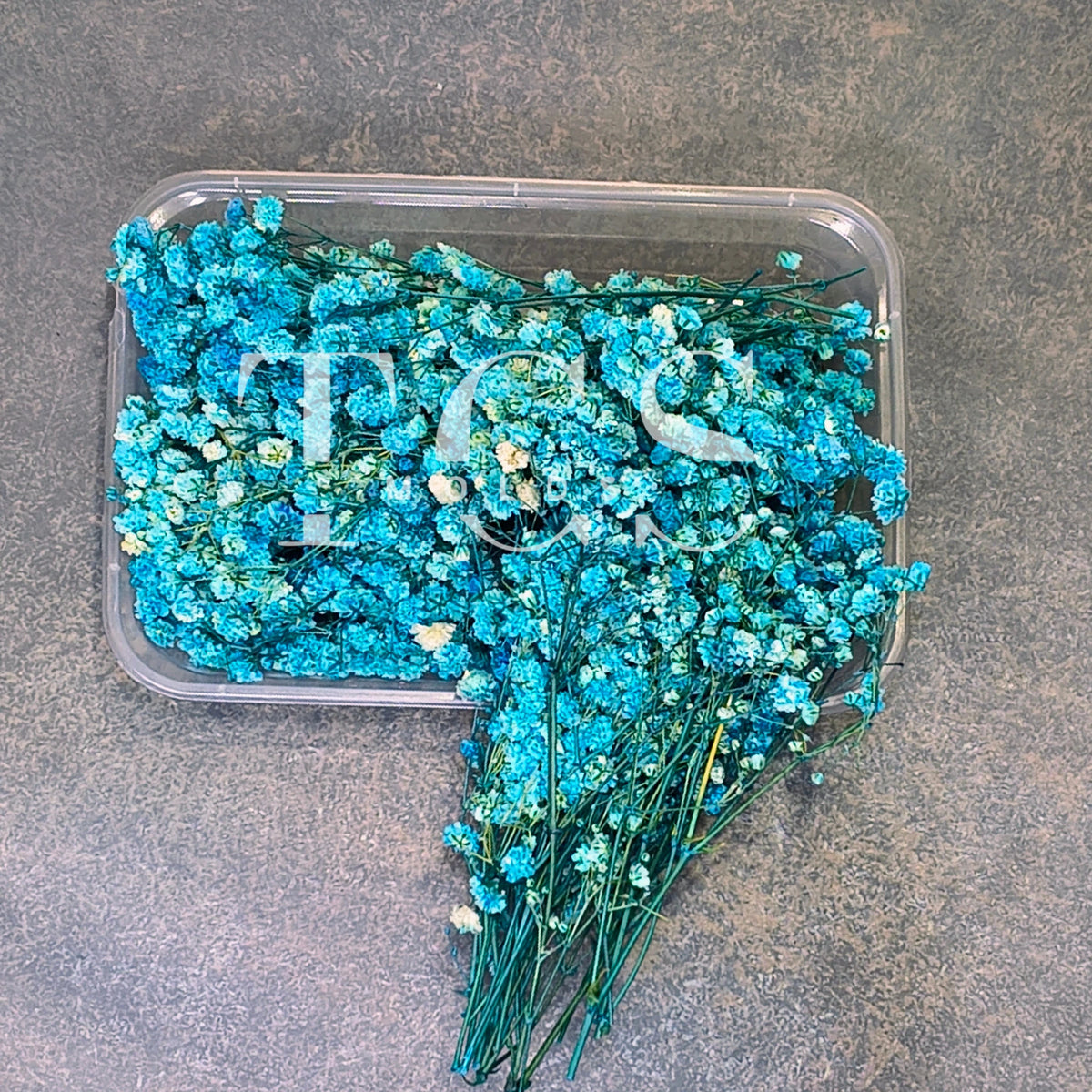 Baby breath (blue)