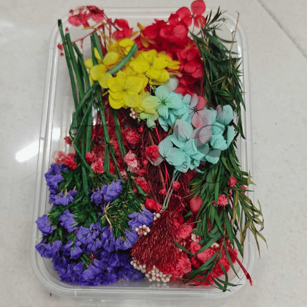 Dry flower box D5