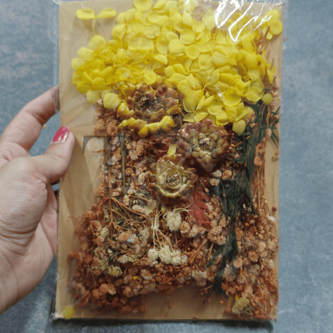 Yellow Real dry flower packet big