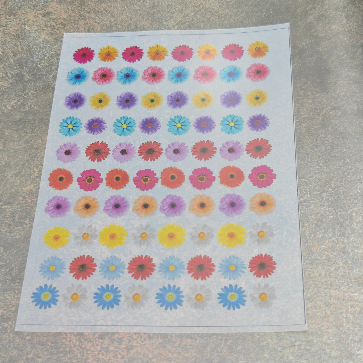 A5 daisy flower insert sheet
