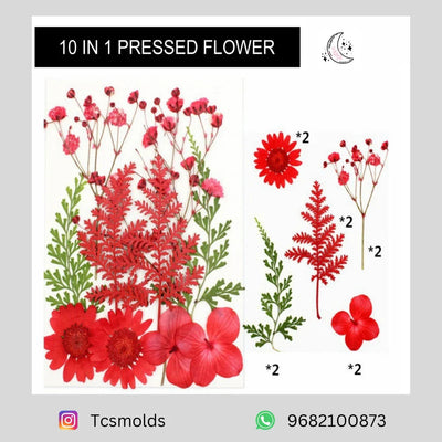 10 in 1 Pressed Flowers Multi Red - craft supply for resin art and craft projects