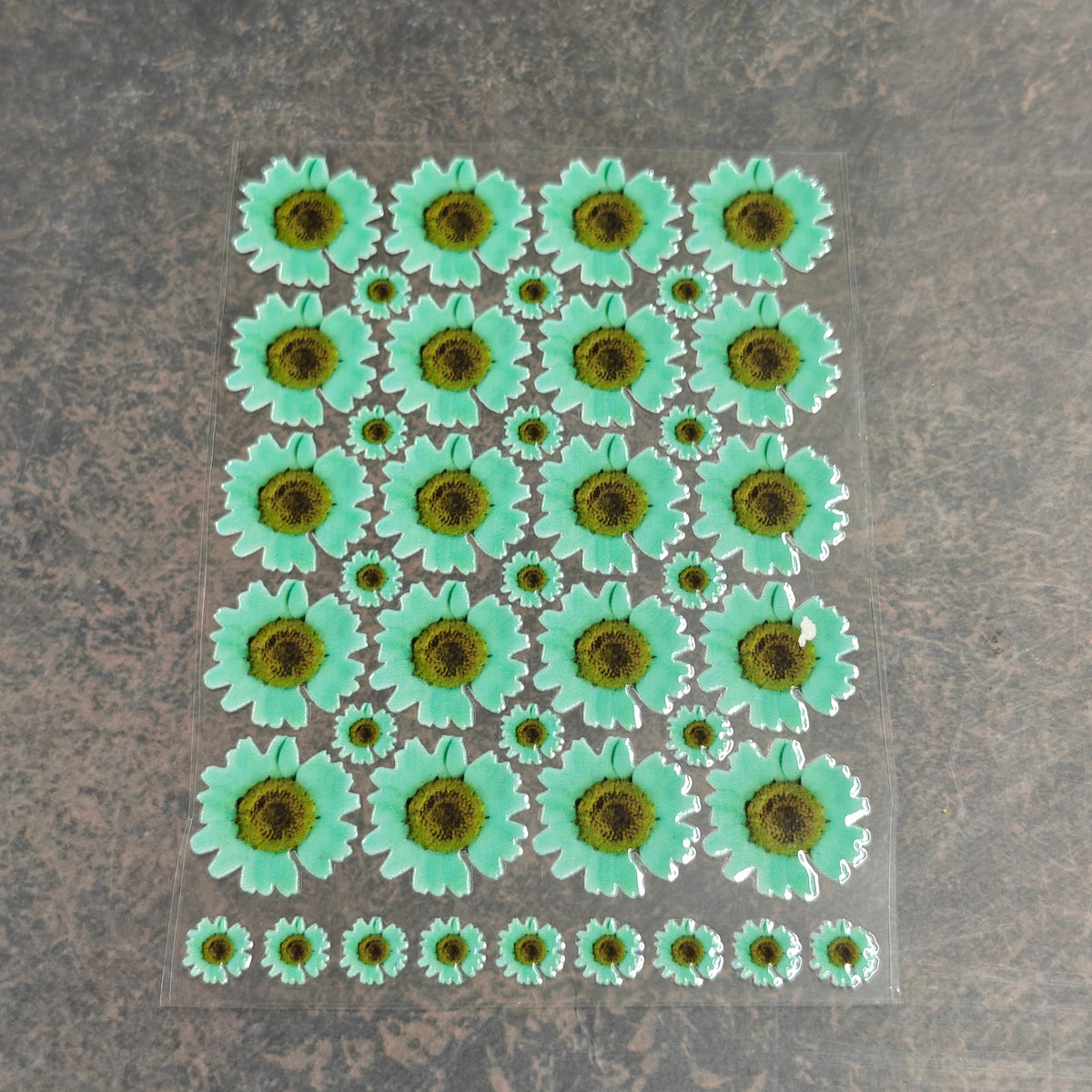A6 Uv dtf sheet Aqua daisy