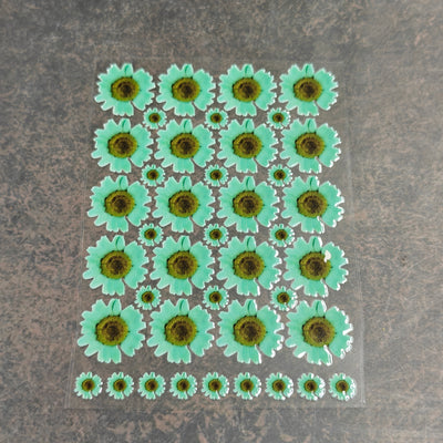 A6 Uv dtf sheet Aqua daisy