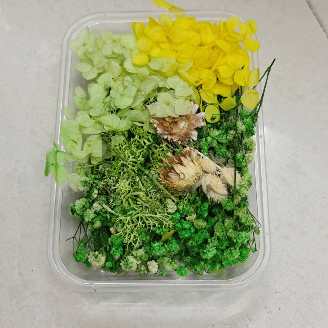 Dry flower box D6