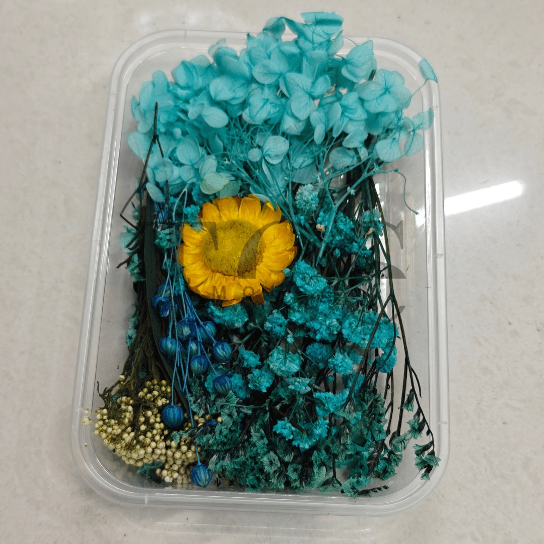 Dry flower box D13