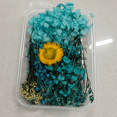Dry flower box D13