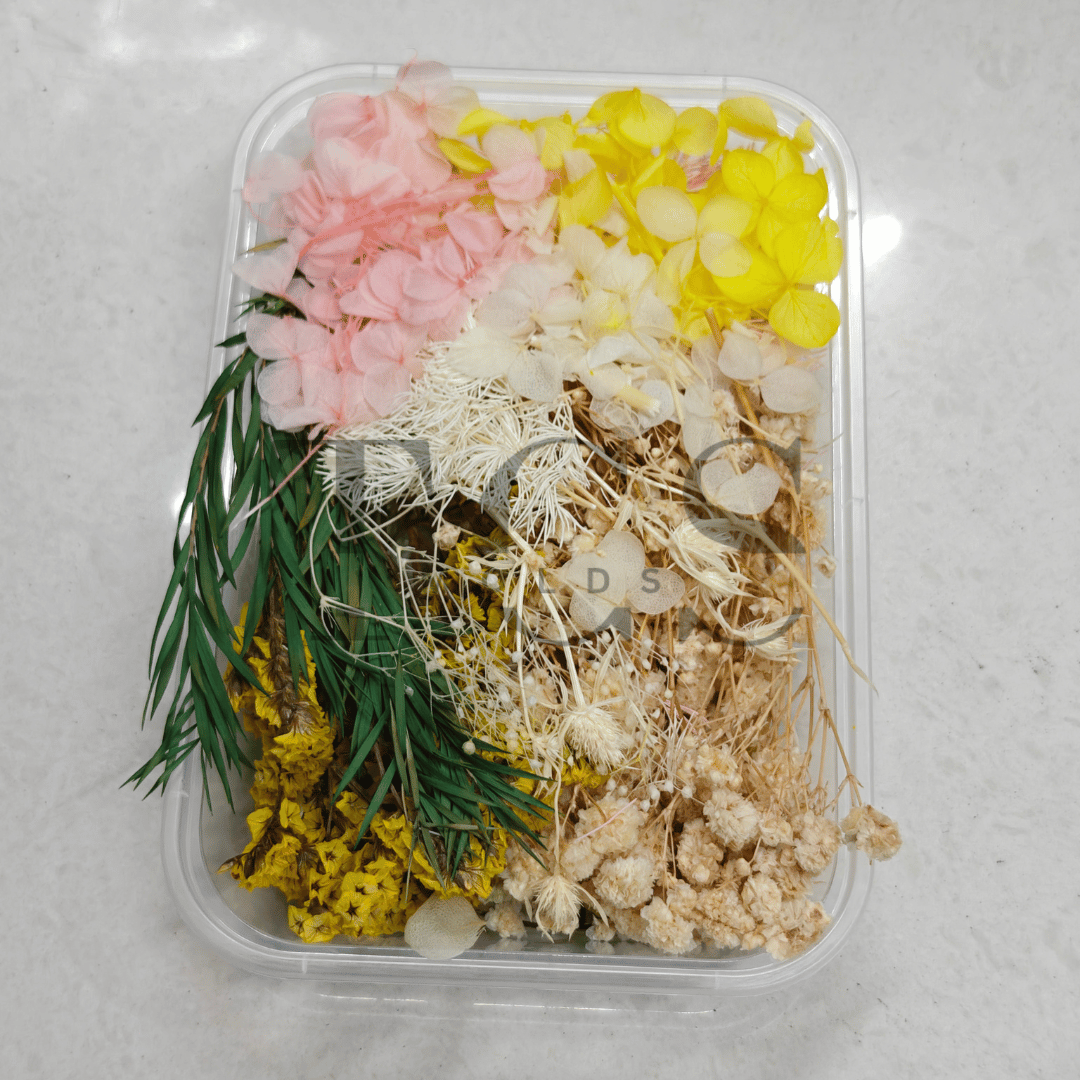 Dry flower box D15