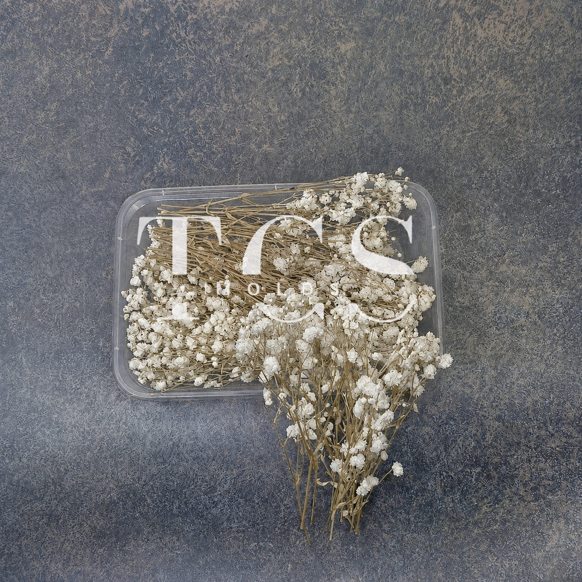 Baby breath (white)