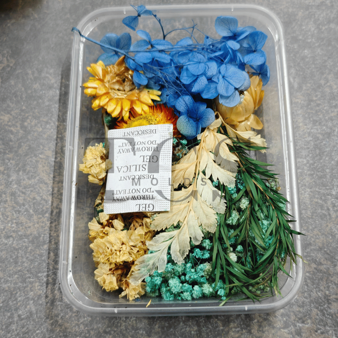Blue Dry Real Flower Box