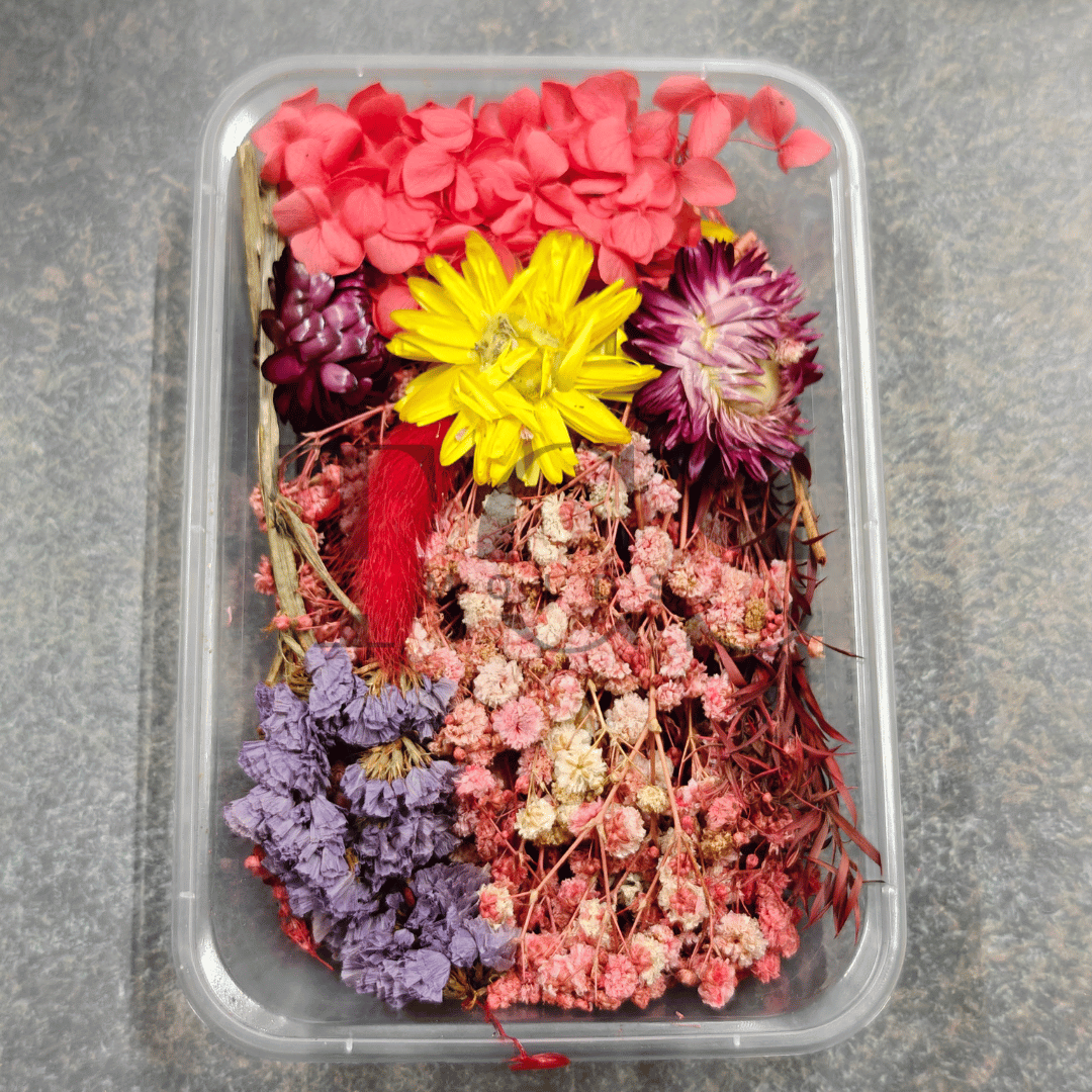 Dark pink Dry Real Flower Box