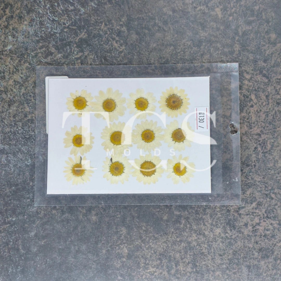 12 In 1 Pressed Flower white for Resin Art | Premium Epoxy Resin Supplier India