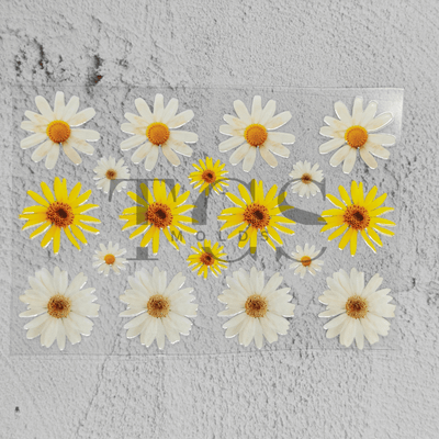Yellow white daisy UV DTF transfer sheet