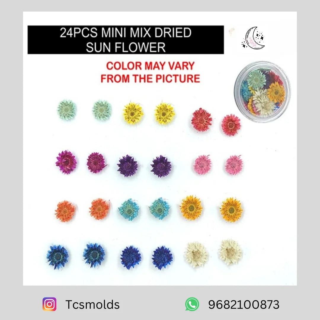 DRY ROSE PRESSED FLOWER (MULTI COLOUR)