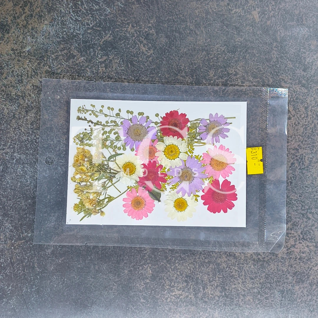Pink shade real dried flower