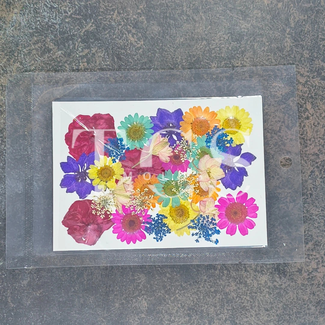 Multi real dried flower pack