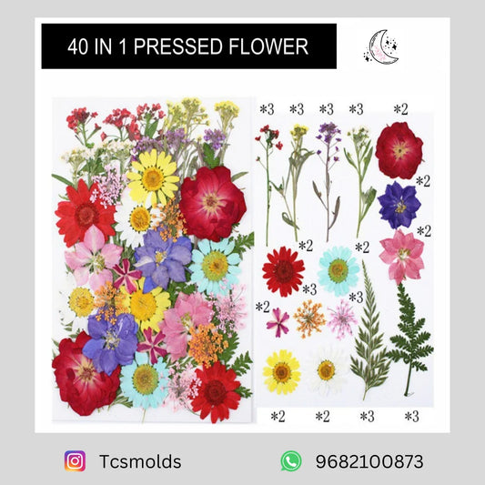 40 IN 1 PRESSED FLOWER (WHITE)