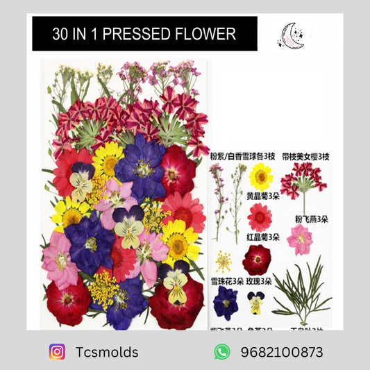 40 IN 1 PRESSED FLOWER (MULTI)