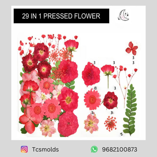 30 IN 1 PRESSED FLOWER (MULTI)