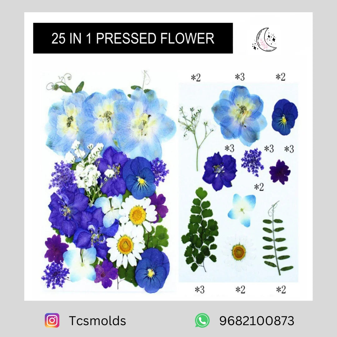 25 IN 1 PRESSED FLOWER (YELLOW)
