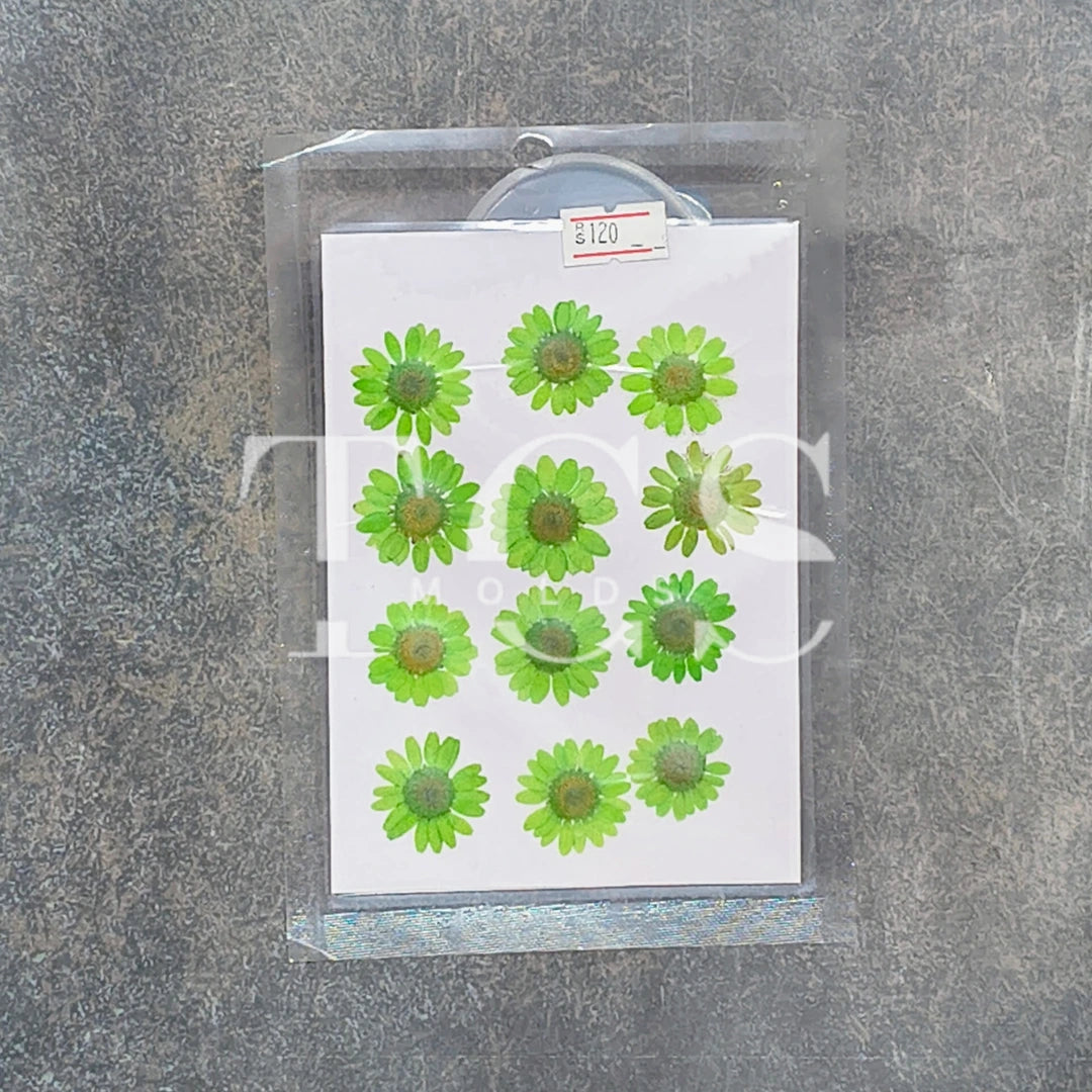 Green 12 In 1 Pressed Flower Green for Resin Art | Premium Epoxy Resin Supplier India