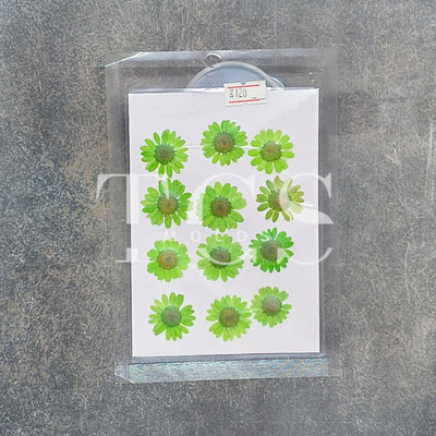 Green 12 In 1 Pressed Flower Green for Resin Art | Premium Epoxy Resin Supplier India
