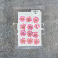 Pink Daisy Pressed Dry Flowers for Resin Art