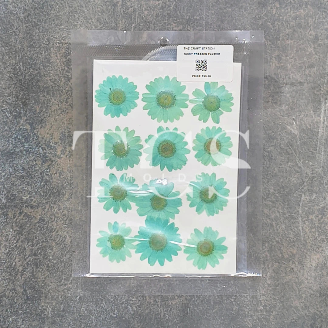 12 In 1 Pressed Flower pastel teal for Resin Art | Premium Epoxy Resin Supplier India