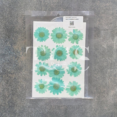 12 In 1 Pressed Flower pastel teal for Resin Art | Premium Epoxy Resin Supplier India
