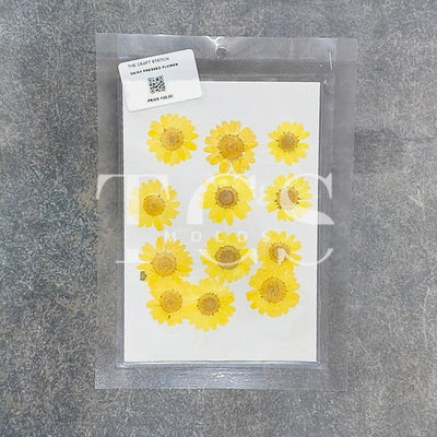Yellow Daisy Pressed Dry Flowers for Resin Art