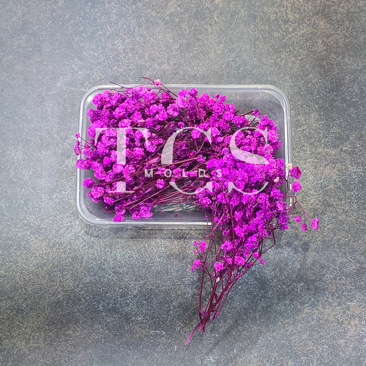 Baby breath (purple)