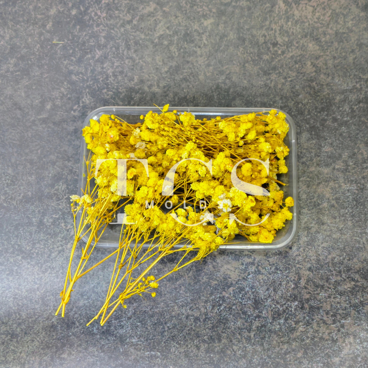 Baby breath (yellow)