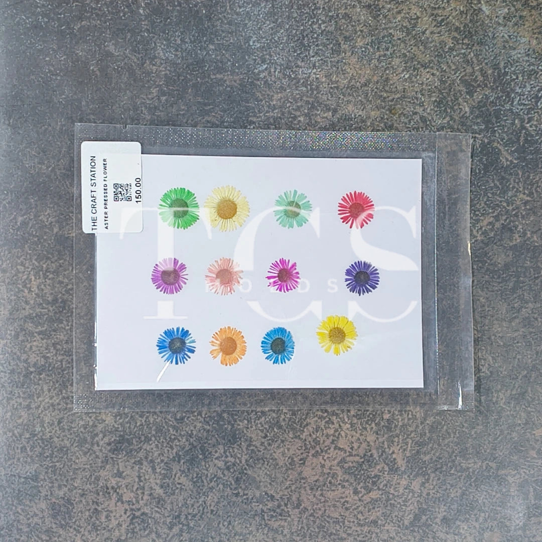 Aster pressed flower