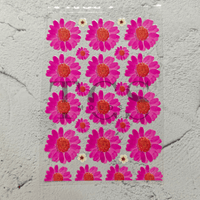 A6 Uv dtf sheet daisy