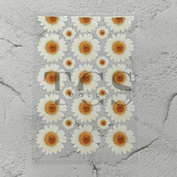 A6 Uv dtf sheet daisy