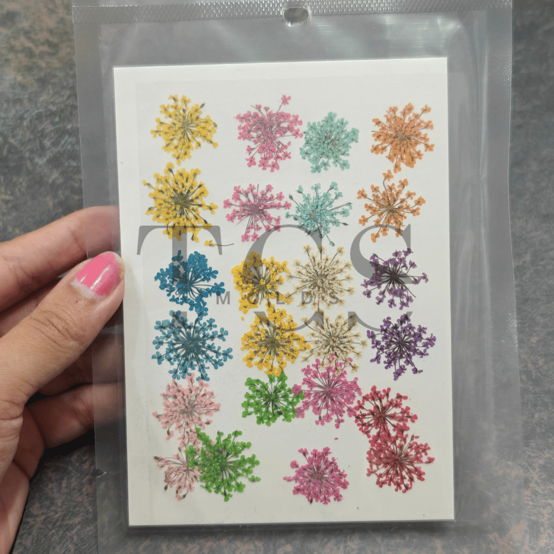 30 in 1 real multi dry flowers