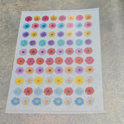 A5 daisy flower insert sheet