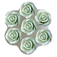 Flower, Cactus,Rose set of 3