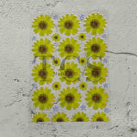 A6 Uv dtf sheet daisy