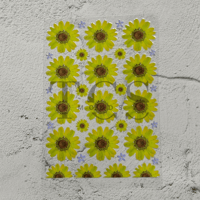 A6 Uv dtf sheet daisy