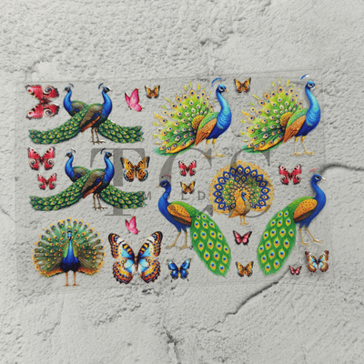 A6 Uv dtf sheet peacock