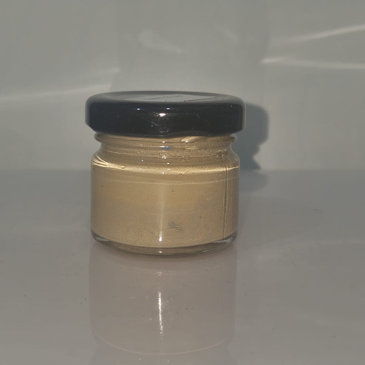 Champagne Opaque paste Pigment (Copy)