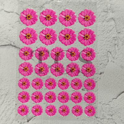 A6 Uv dtf sheet Zinnia flower