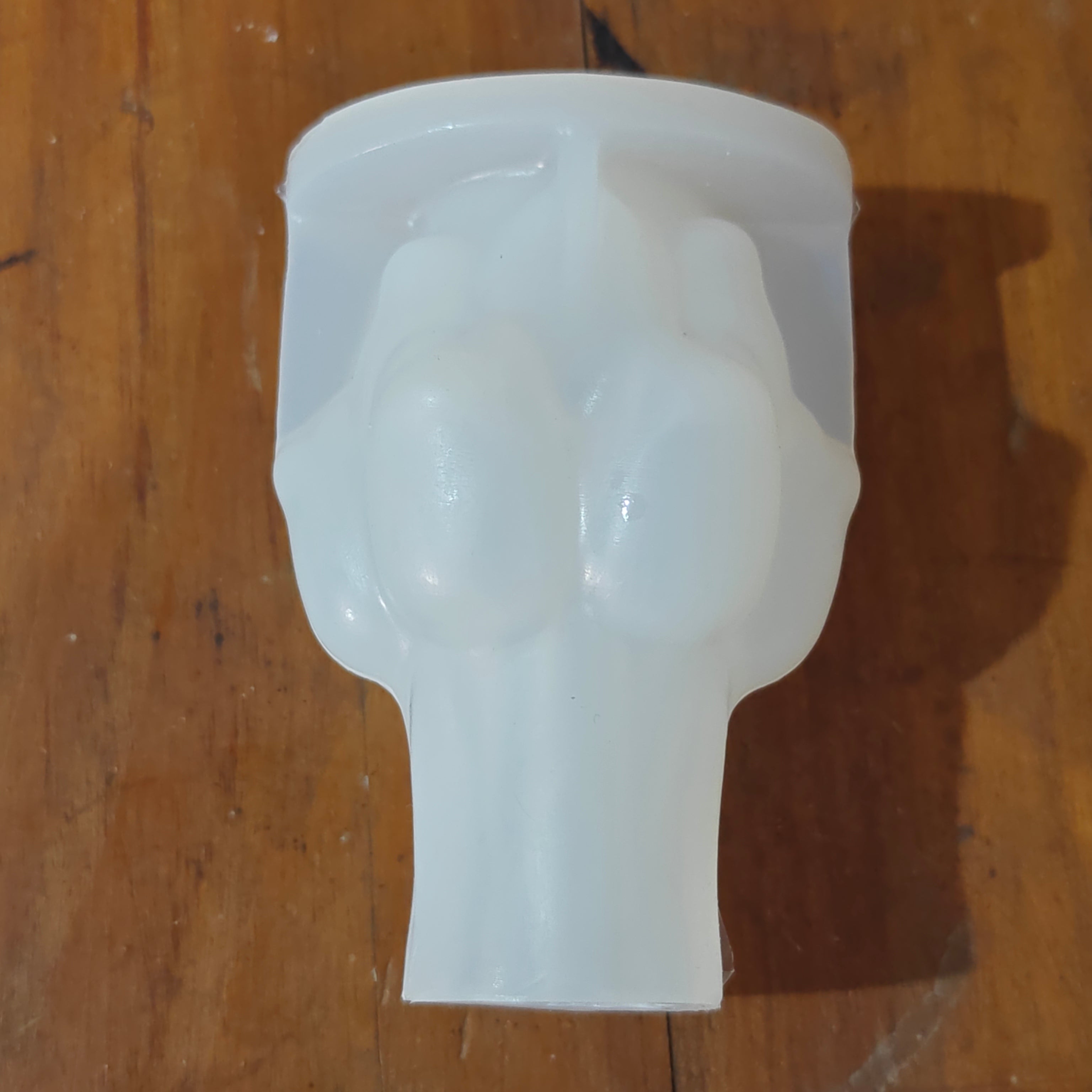 Tulip candle mold