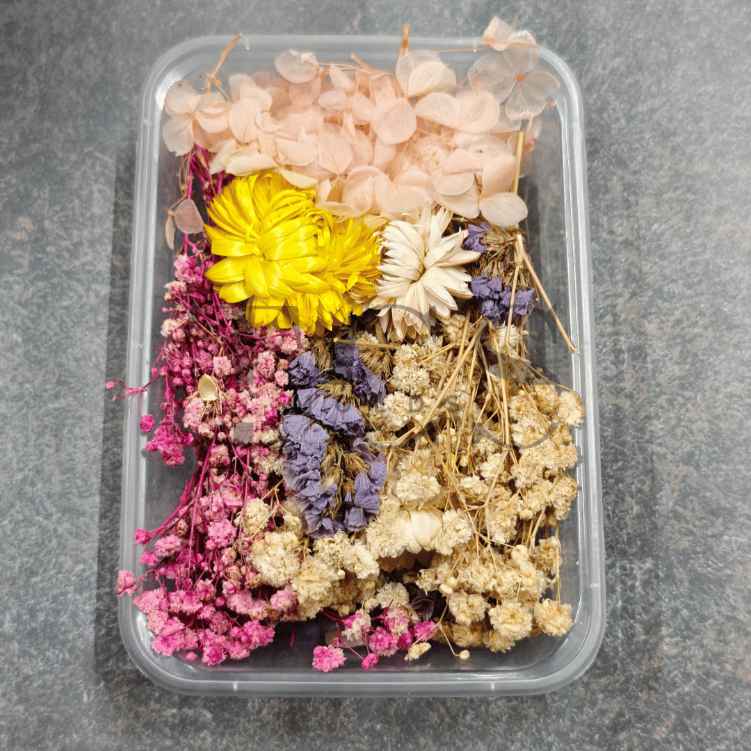 Light pink Dry Real Flower Box