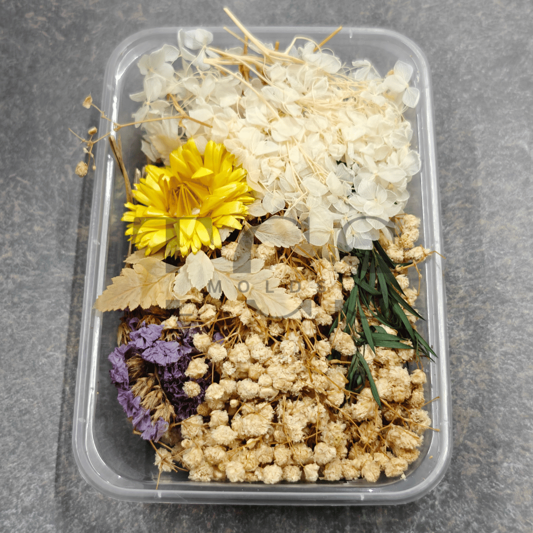 White Dry Real Flower Box