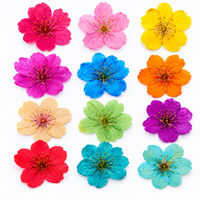 12 In 1 Dry Real Flowers Multi Cherry Blossom for Resin Art | Premium Epoxy Resin Supplier India