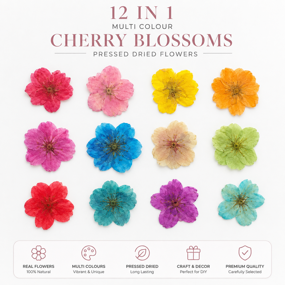 12 In 1 Dry Real Flowers Multi Cherry Blossom for Resin Art | Premium Epoxy Resin Supplier India